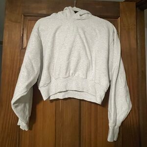 Aritzia TNA hooded crop sweatshirt, light gray